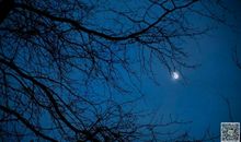 夜晚的宁静 描写夜晚的作文400字