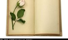 《朗读手册》读后感