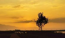 我在黄昏看太阳 描写黄昏的优秀作文500字