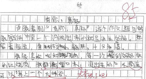 你们中国的母亲难道都是一样的吗?一组神作文,告诉你答案 2