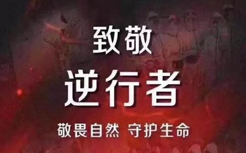 致敬逆行的英雄-高中记叙文1000字