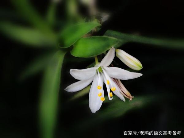 高考作文辅导32:秉承奋斗精神,谱写青春华章 1