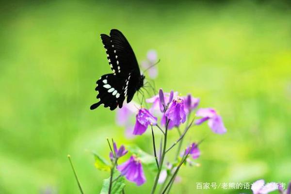 高考作文辅导36:祖国发展我成长,民族复兴我奋斗 2