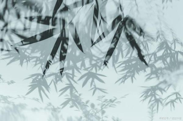 遇到作文“胸少点墨,词不达意”怎么办?几点做法让学生受益匪浅