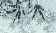 遇到作文“胸少点墨，词不达意”怎么办？几点做法让学生受益匪浅