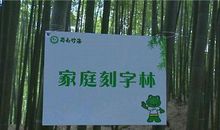 刻字林加剧不文明行为 高一作文900字