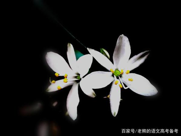 高考作文辅导32:秉承奋斗精神,谱写青春华章 2