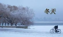 拍卖会上的“明枪暗箭”作文