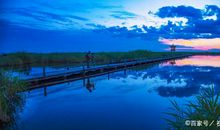 扬州中考满分作文批讲：《我心雀跃》