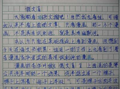 假文盲 令人气愤的事作文300字