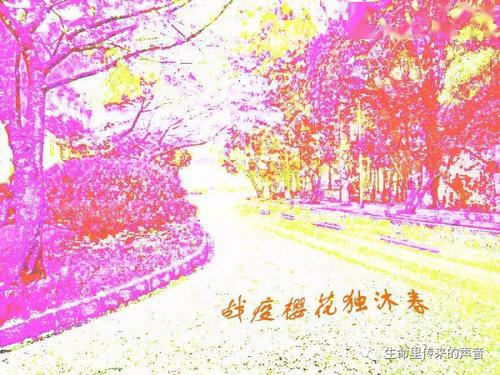 樱花将灿，雾尽风暖-战疫作文1000字