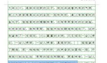 关于春节的作文欣赏