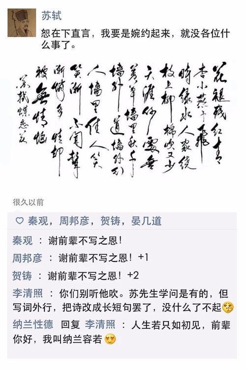 苏东坡以德报怨待章作文