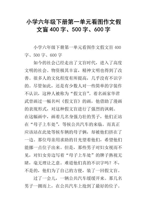 假文盲 六年级故事作文600字