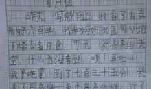 我们班的英雄作文