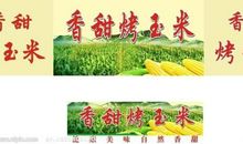 烤玉米优秀作文