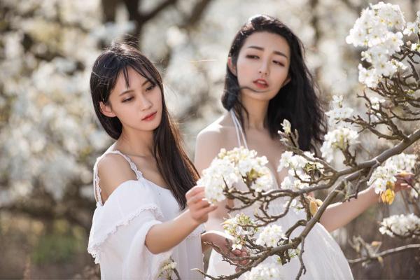 原创 高考作文预测、优秀作文点评：《又见梨花开》，春天已然来临 2