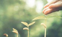 六年级作文：生命的启示