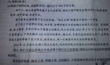 与岳飞谈话作文