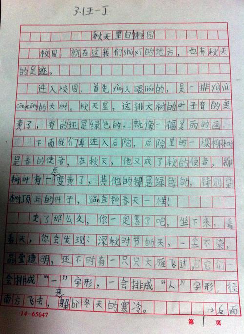 十三岁的险遇作文850字