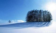 五年级作文：无形的爱