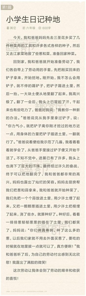紧急集合 小学生军训日记700字