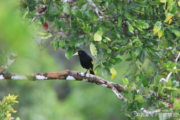 五年级小学生的一篇习作，如何写出钉钉优秀作文？ 4
