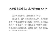 意外的惊喜作文750字