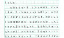 标点们的愿望作文550字