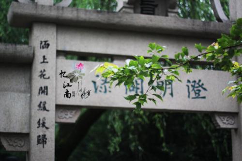 “疫”线面孔读后感｜杭州江南实验学校702班车行远：这样的人，让我敬佩
