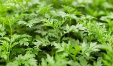 原创 《一个北大毕业生决定去送外卖》读后感：寻找生命的光