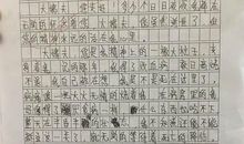 2018小升初作文预测及范文：我的同学