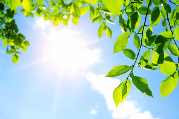 原创 中考满分作文：《那天，如果我挽留了》