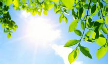 原创 中考满分作文：《那天，如果我挽留了》