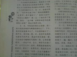 中国之路 高中生爱国作文800字