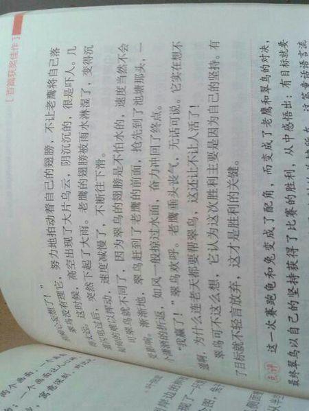 奥祥公主 优秀童话故事作文500字