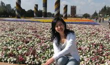 游世博园 五年级游记800字