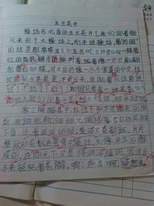青年爱国多一些理性 高中生议论文800字