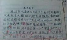 青年爱国多一些理性 高中生议论文800字