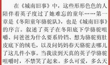 [2013暑期征文]《城南旧事》读后感_450字