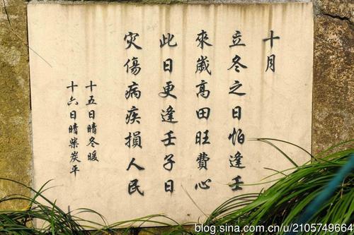 西湖美景 小学生西湖作文300字