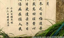 西湖美景 小学生西湖作文300字