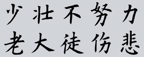 努力 关于努力的议论文900字