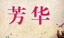 书中的芳华 高三作文800字