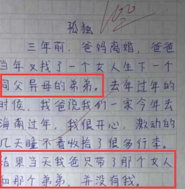 小学生满分作文《孤独》,没有“孤独”二字,却看哭了改卷老师 3
