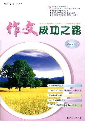 中国之路 高二记叙文800字