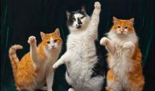 儿子抄的一篇作文