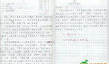 世博会导游词 小学生导游词400字