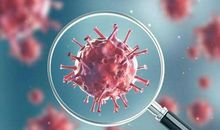 2020年在战役中成长观后感