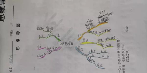 全国网络课 ▏让小学生写好作文，用这个办法就够了！ 4